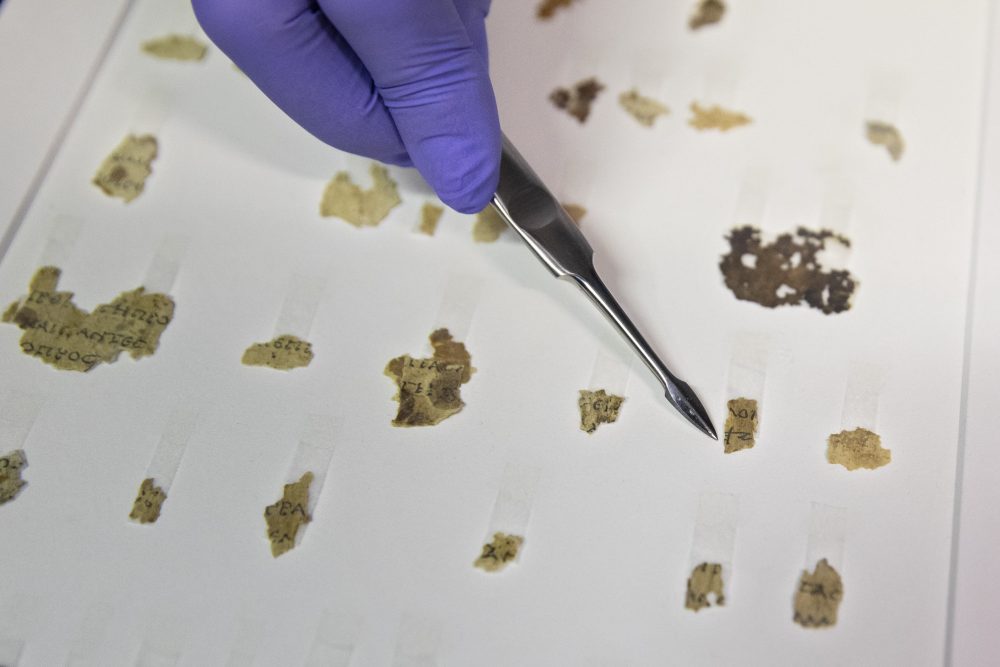 Israel Antiquities Authority conservator Tanya Bitler shows newly discovered Dead Sea Scroll fragments at the Dead Sea scrolls conservation lab in Jerusalem, Tuesday, March 16, 2021.