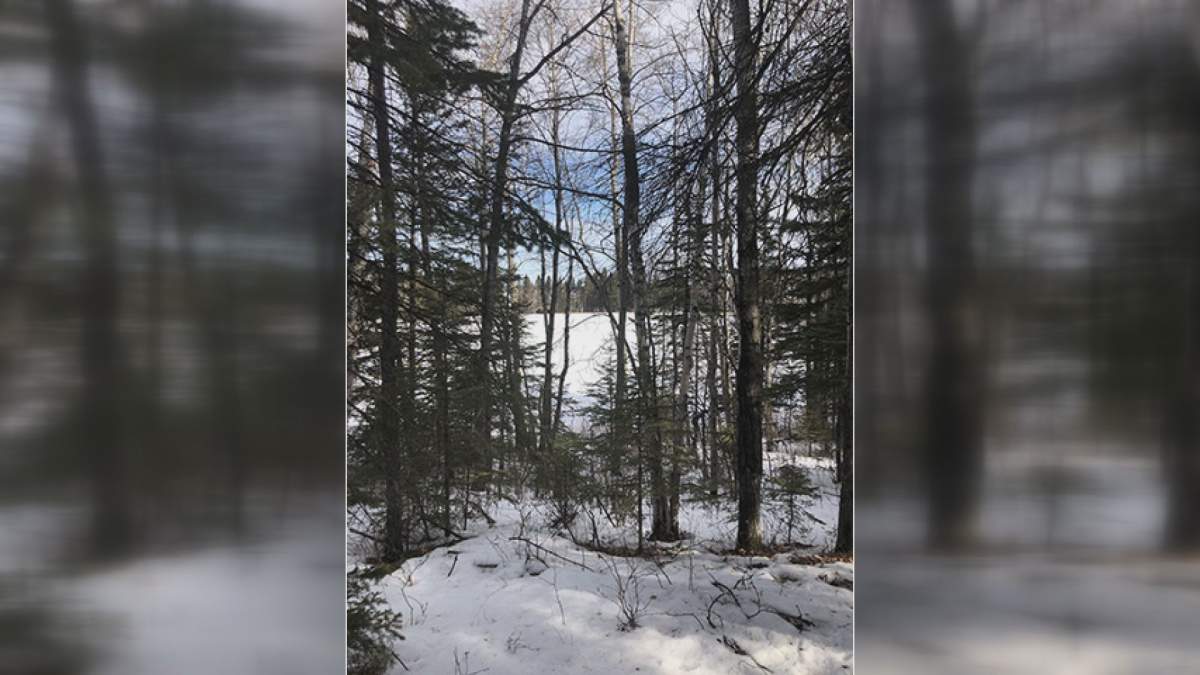 RCMP released this photograph of part of the search area.