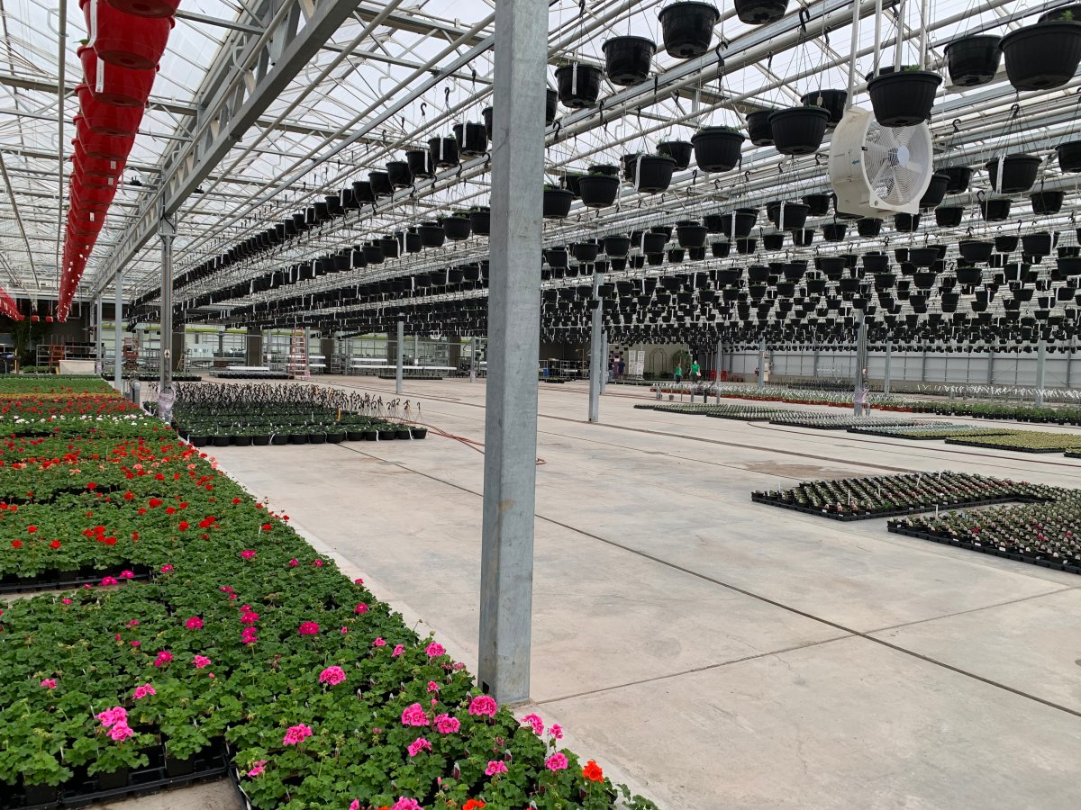 Salisbury Greenhouse owners to operate garden centre at St. Albert’s