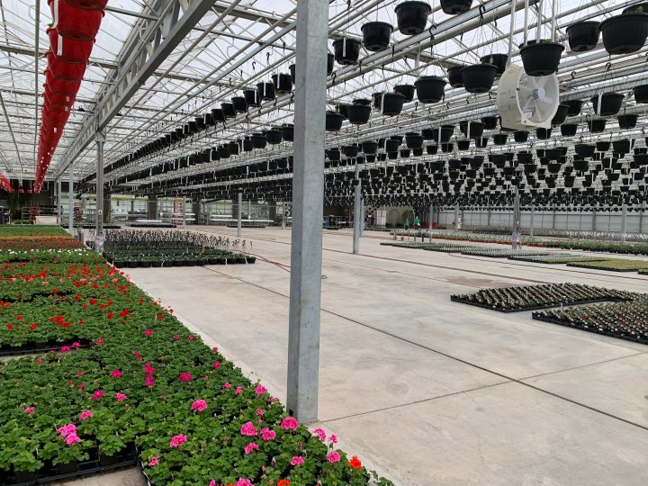 Salisbury Greenhouse owners to operate garden centre at St. Albert’s