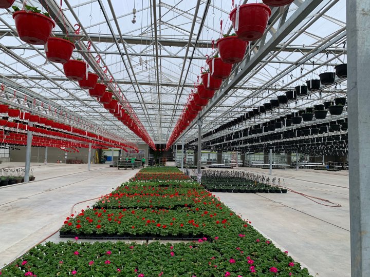 Salisbury Greenhouse owners to operate garden centre at St. Albert’s