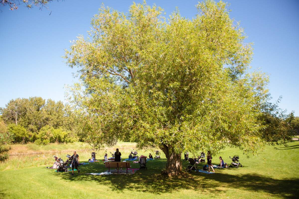 A Mommy Connections group hosts a distanced visit this past summer. Credit: Roughley Originals Photography