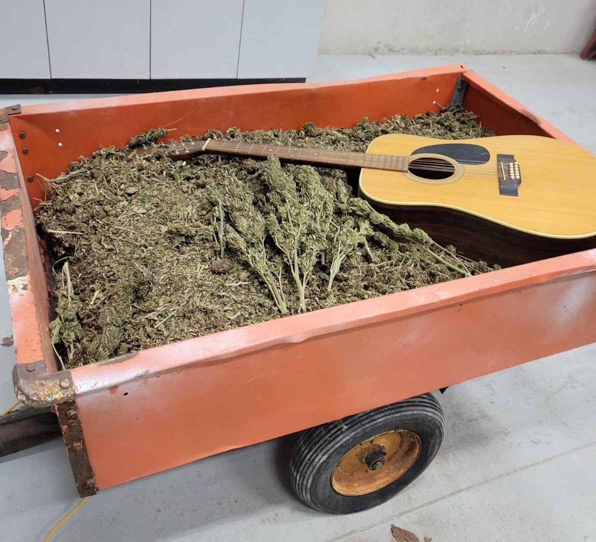 The trailer in question.