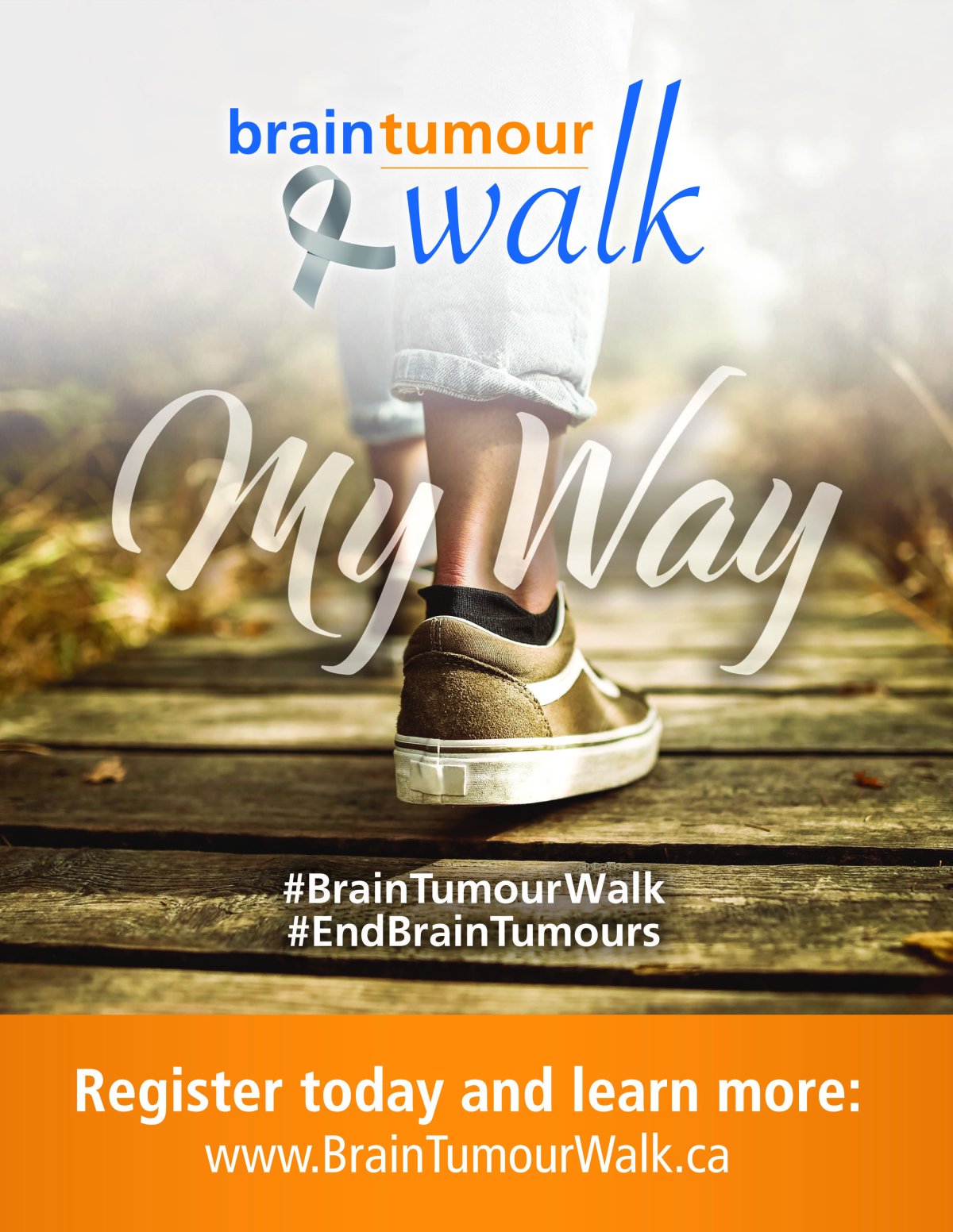 Virtual Brain Tumour Walk - image