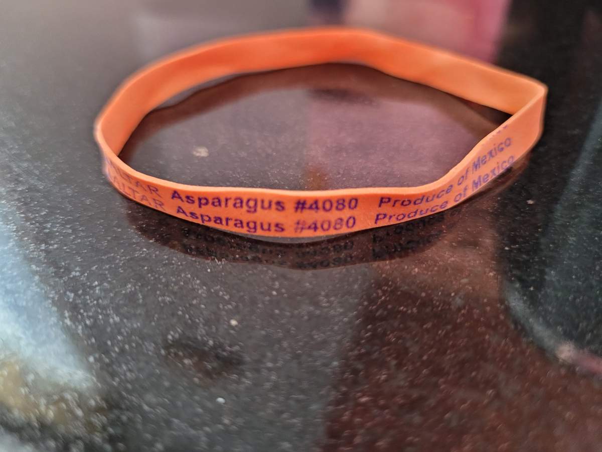 The orange elastic asparagus band that Kari Cole started her trading experiment with.