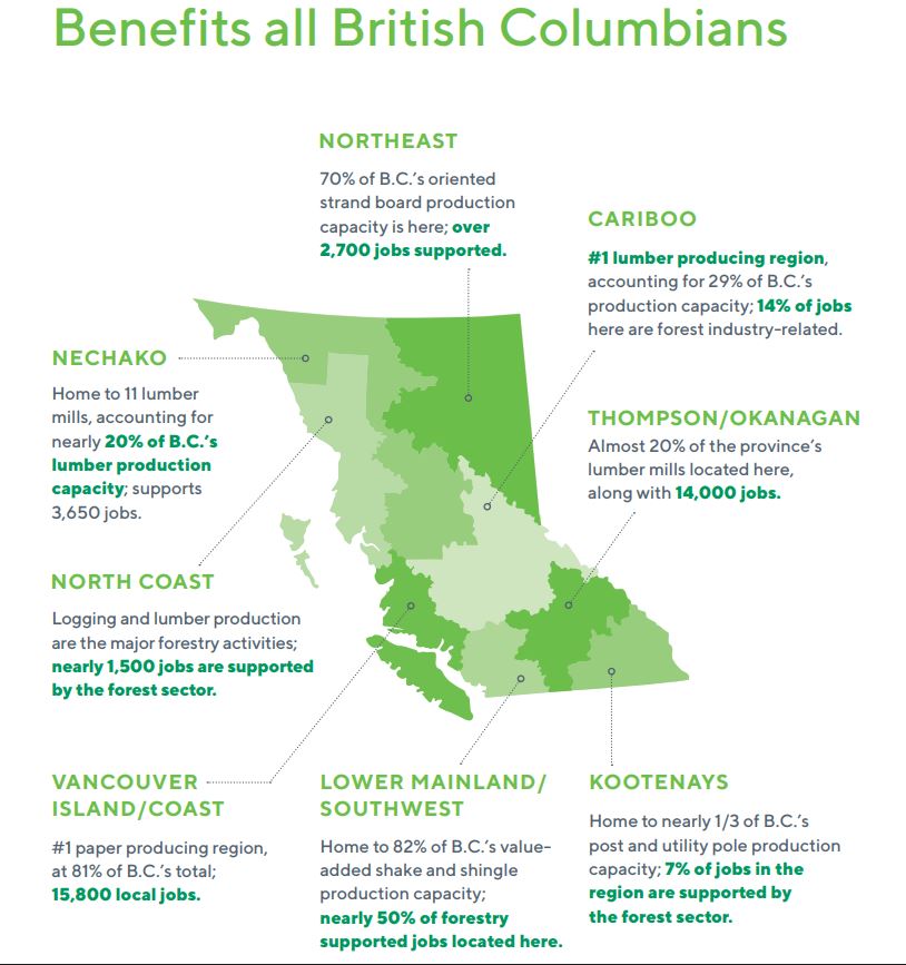 A graphic from the forest industry study.