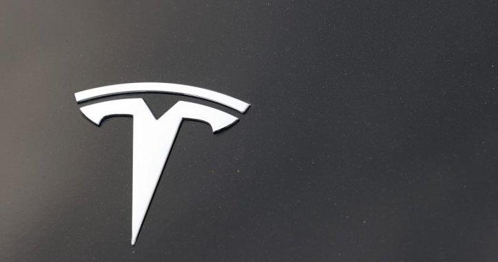 Texas police to demand Tesla share data from fatal crash to determine Autopilot use – National