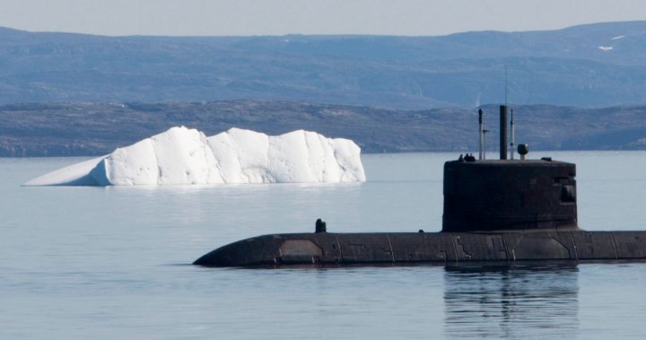 Canadian submarine may have permanent damage due to errant test: report