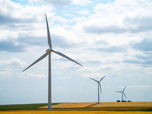 Turbines from SaskPower's Centennial Wind Farm facility in Swift Current. 