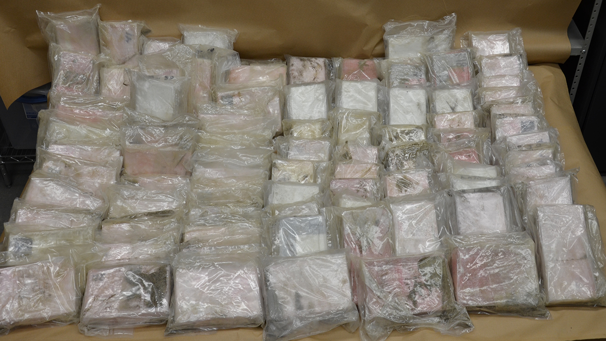 RCMP nabbed 81 kilograms of cocaine.