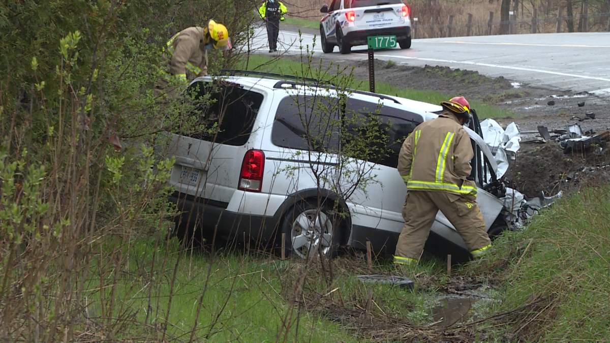 A man is in hospital and a dog was killed during a crash on Highway 38 in Kingston Thursday night, police say. 
