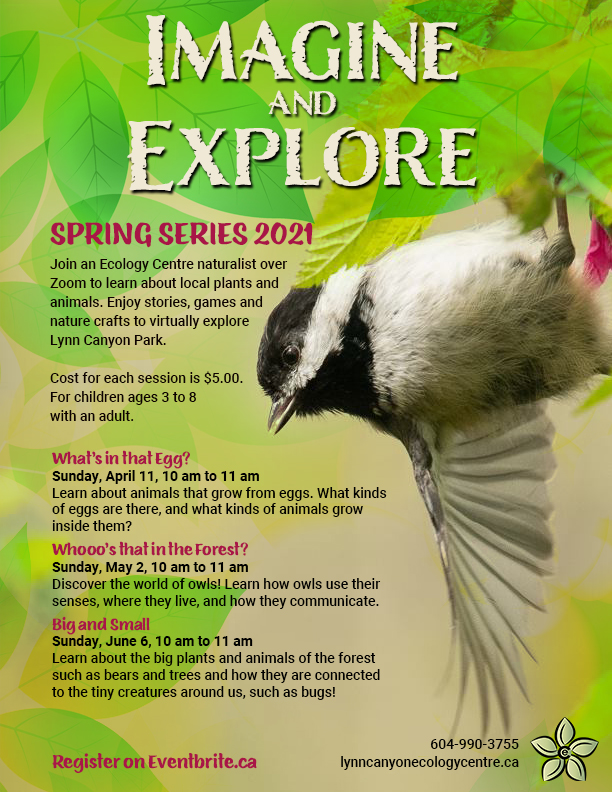 Imagine and Explore Online Series: What’s In That Egg? - image