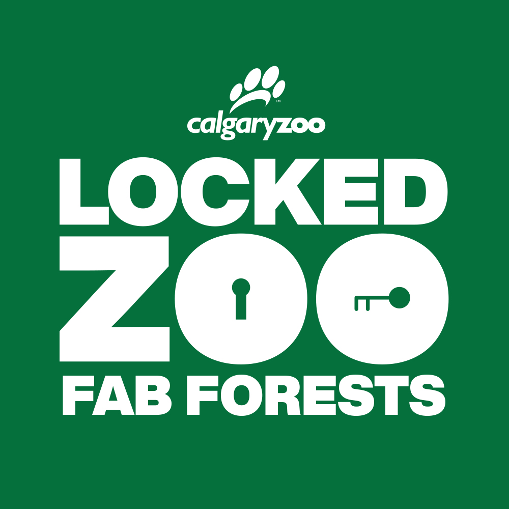Calgary Zoo – Locked Zoo: Fab Forests - image