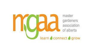 MGAA – Creating Beauty Through Texture, with Elaine Rude - image