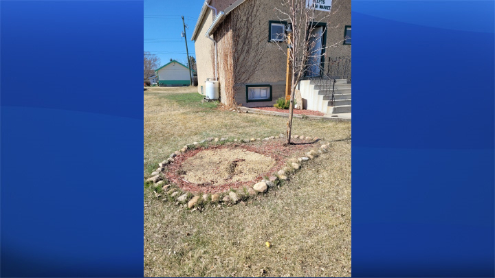 The patch of earth Morgan the unicorn normally stood in the small Alberta town of Delia.