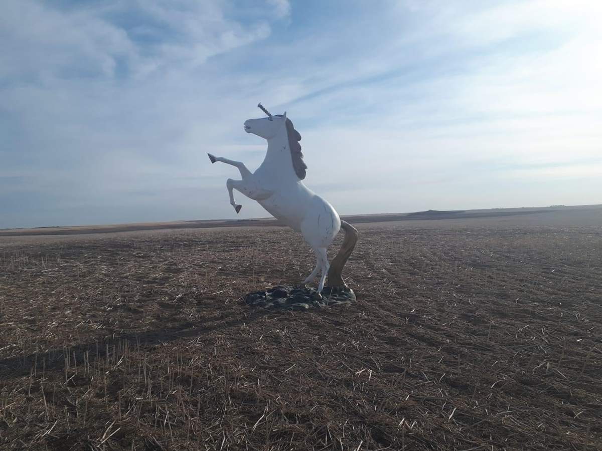 The RCMP forensics unit is looking into how this unicorn statue ended up in a farmers field.
