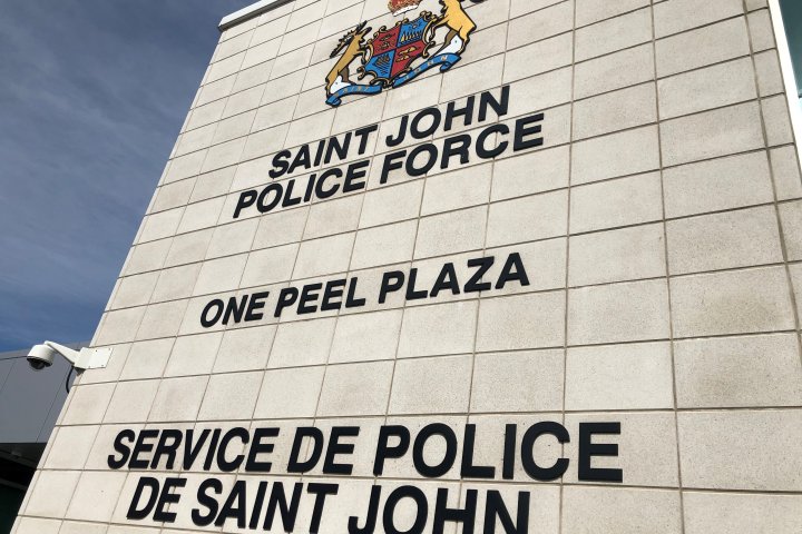 Search underway for missing swimmer in Saint John