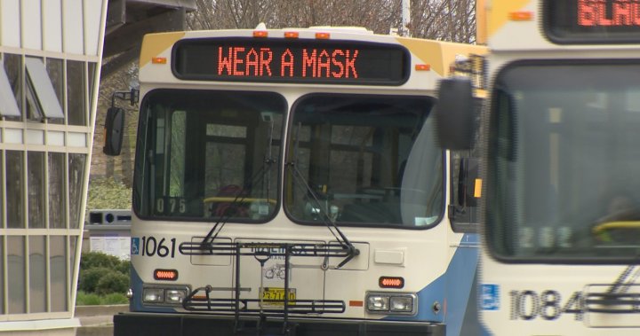 How Halifax Transit staff shortages have become a very big problem