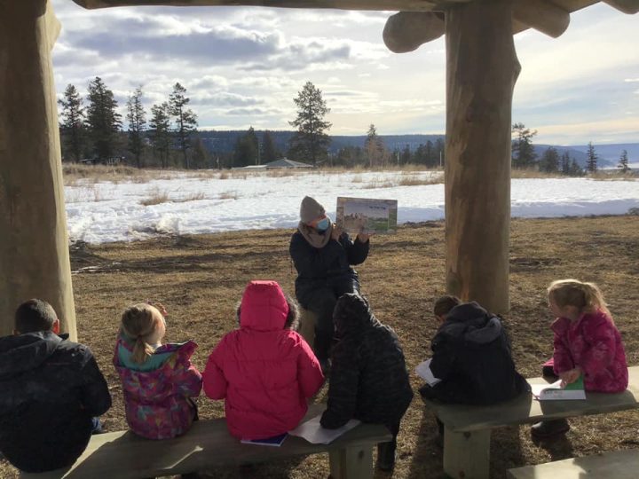 Log boom: B.C. school board builds 20 outdoor classrooms amid COVID-19 pandemic - image