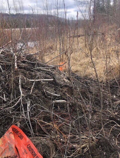 This picture shows how the beavers used some of the cable material to build their dam. Courtesy: Telus