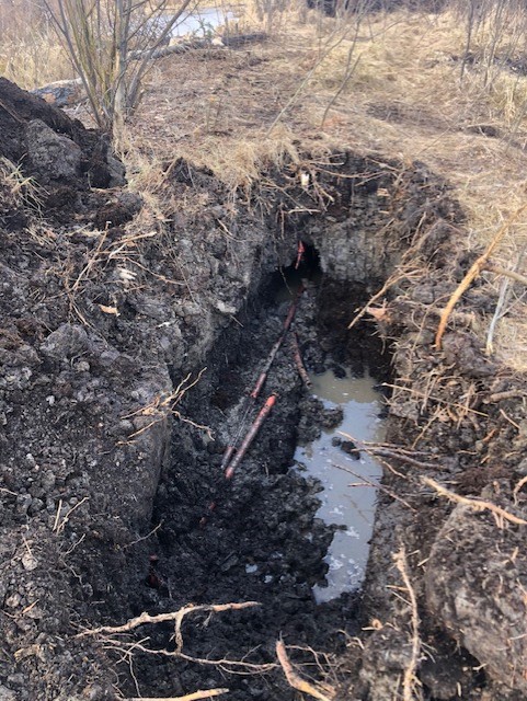 A look at the damage the beavers had done to the Telus cable. Courtesy: Telus