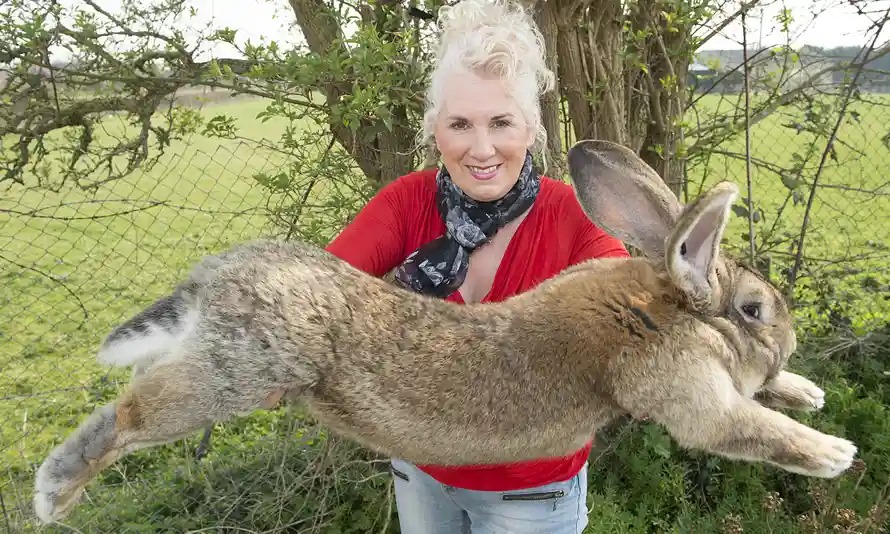 Annette Edwards is shown with her rabbit, Darius.
