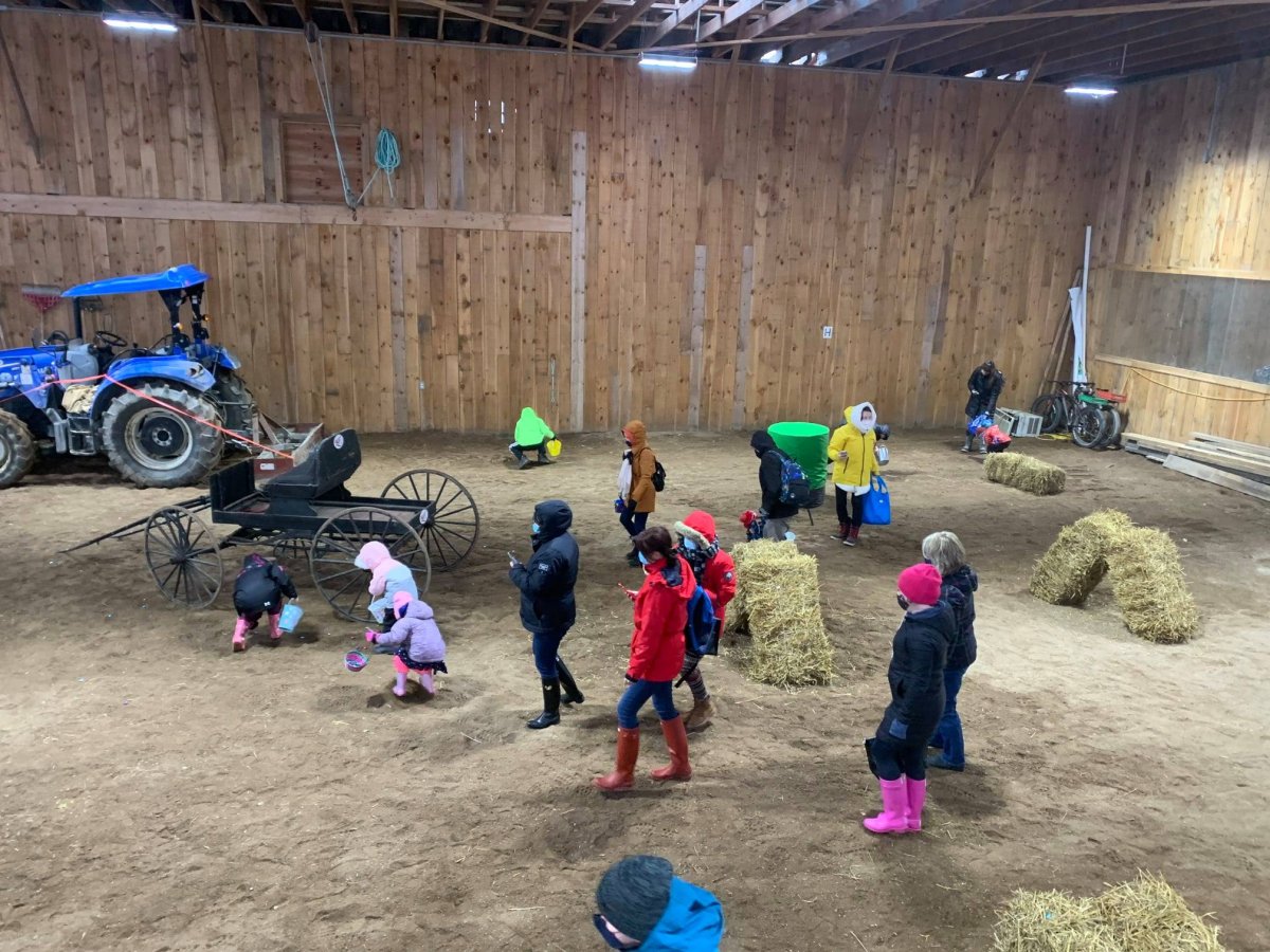 Hatfield Farm Easter egg hunt returns after year off due to COVID19 Halifax Globalnews.ca