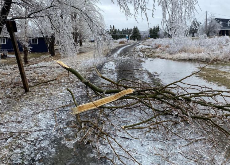 Freezing rain in Inverness County on Cape Breton has resulted in thousands of power outages. Ice is seen in Port Hood, N.S. on Sunday, April 4, 2021. 