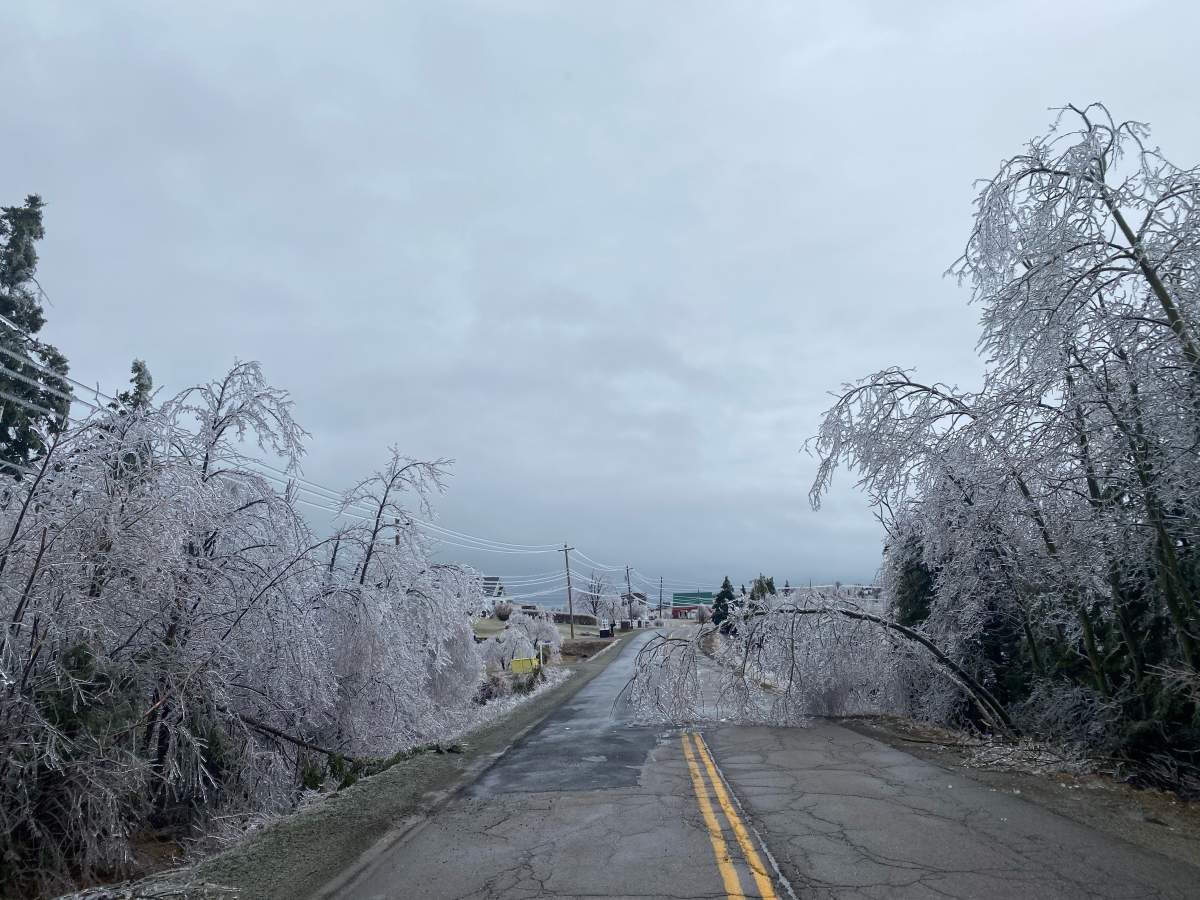 Freezing rain in Nova Scotia leaves thousands without power - image