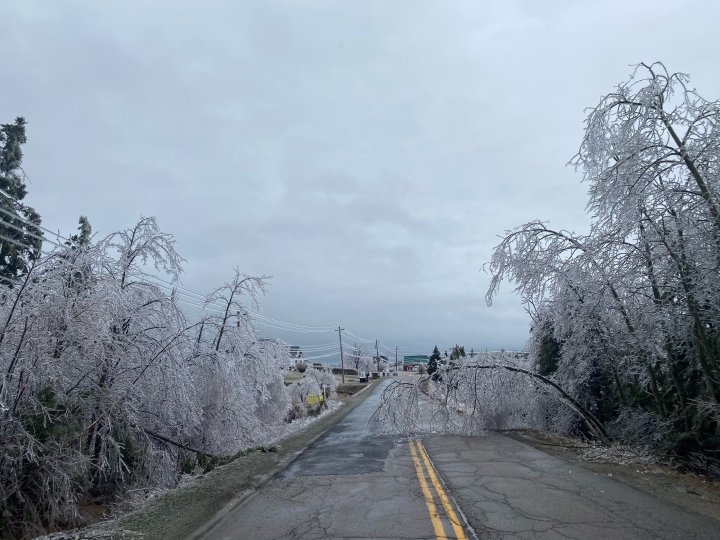 Freezing rain in Nova Scotia leaves thousands without power Halifax