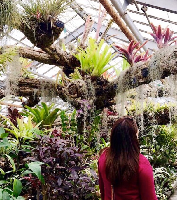 The Botanical Garden has dozens of spots to explore.