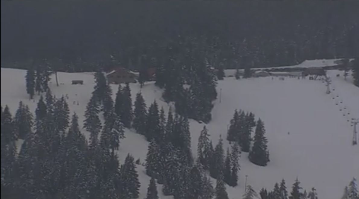 RCMP say an 11-year-old died following a ski accident on Mt. Steymour.