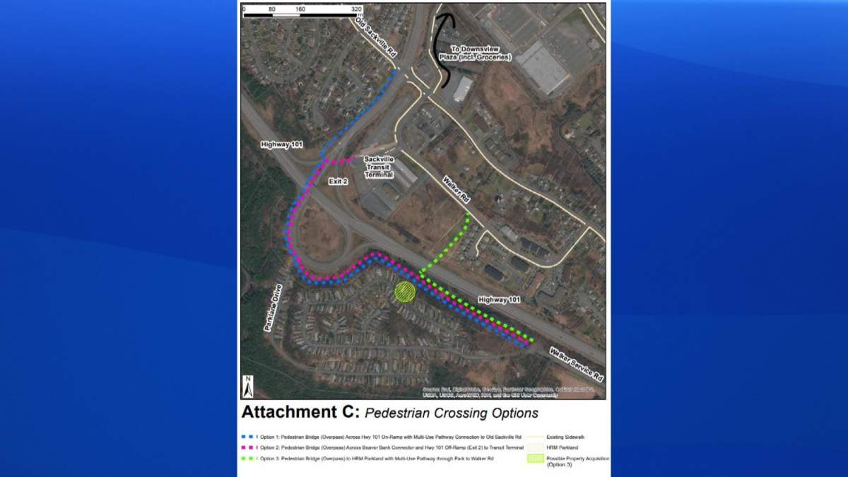 There are currently three proposed options to consider for pedestrian bridges.