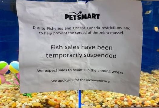 Fish sales at the Kelowna Petsmart have been curtailed. 