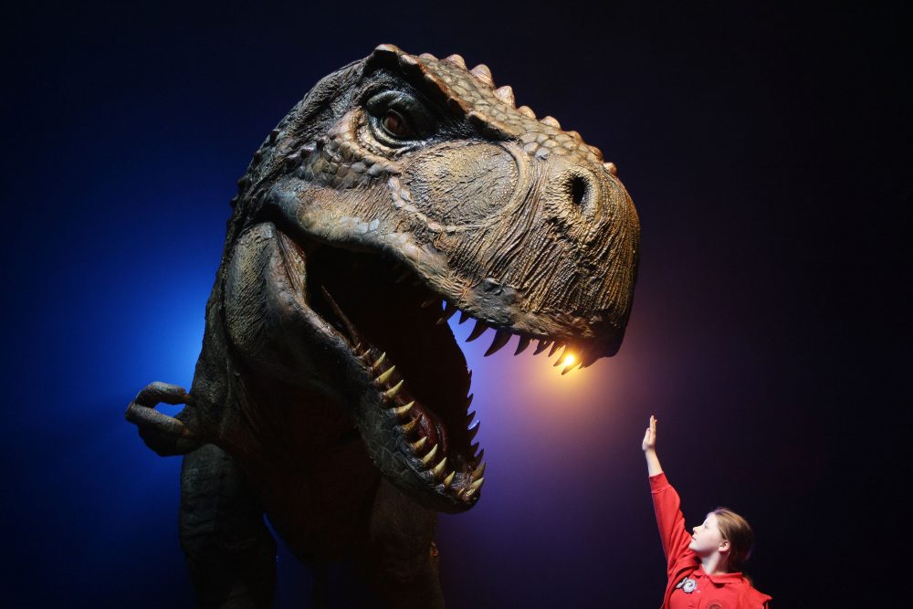 Girl gestures towards a Tyrannosaurus Rex at the media call for Walking With Dinosaurs - The Arena Spectacular at The Entertainment Quarter on Oct. 18, 2010 in Sydney, Australia. 