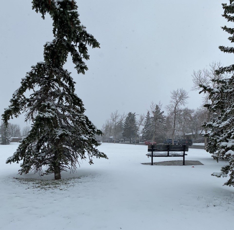 Alberta to see 20-degree drop in temps and up to 15 centimetres of snow ...