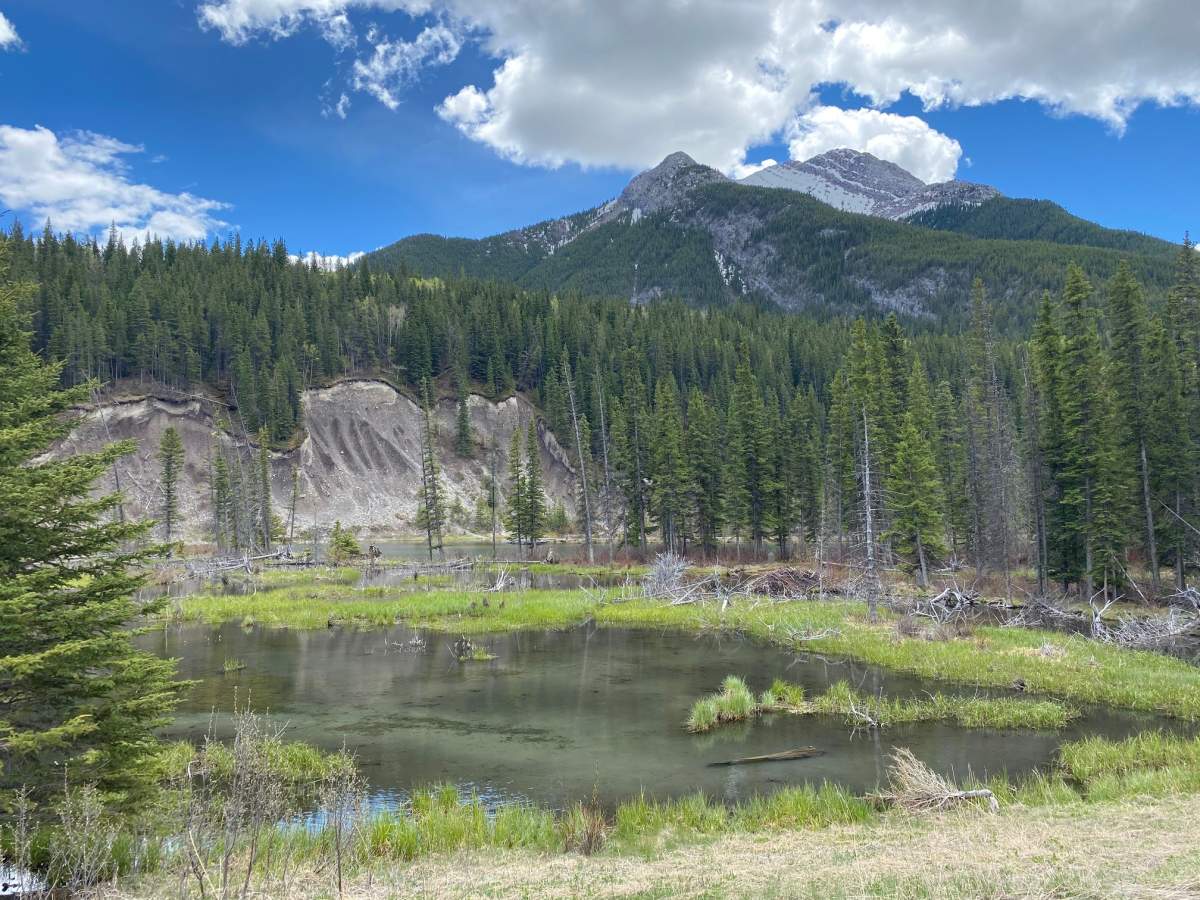 The Colonel’s Cabin and one guard tower are all that remain of the Kanaskis Internment and POW camp, where some Italians were housed early in WW2. May 26, 2021.
