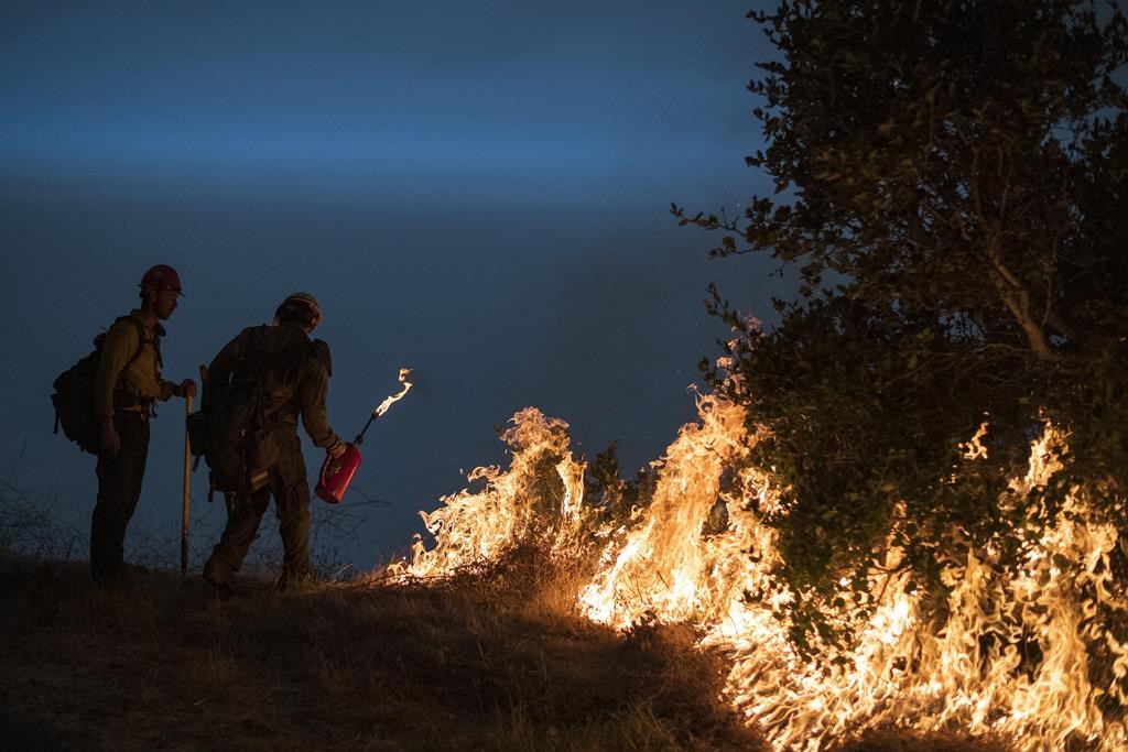 FILE - In this Sept. 11, 2020, file photo, firefighters light a controlled burn along Nacimiento-Fergusson Road to help contain the Dolan Fire near Big Sur, Calif. Crews across the west are lighting controlled burns and taking other steps to prepare for the 2021 fire season that follows the worst one on record. Prescribed burning gets rid of vegetation that can send flames into the forest canopy, where fire can spread easily, and makes the forest more fire resilient. 