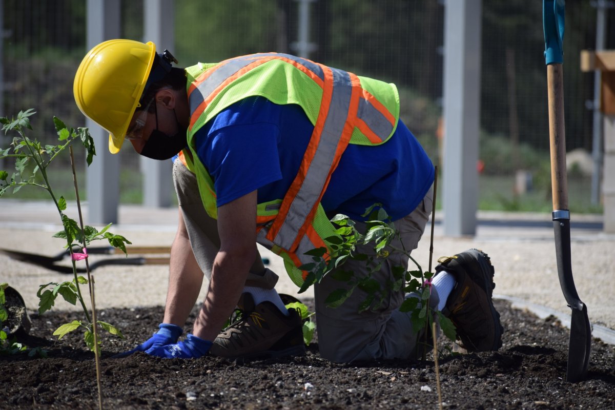 A worker in the gardens at The Leaf.