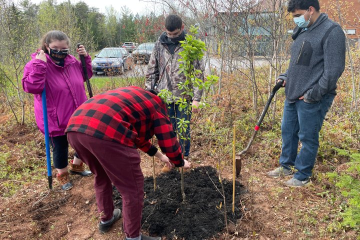 City of Winnipeg and federal government launch tree-planting program