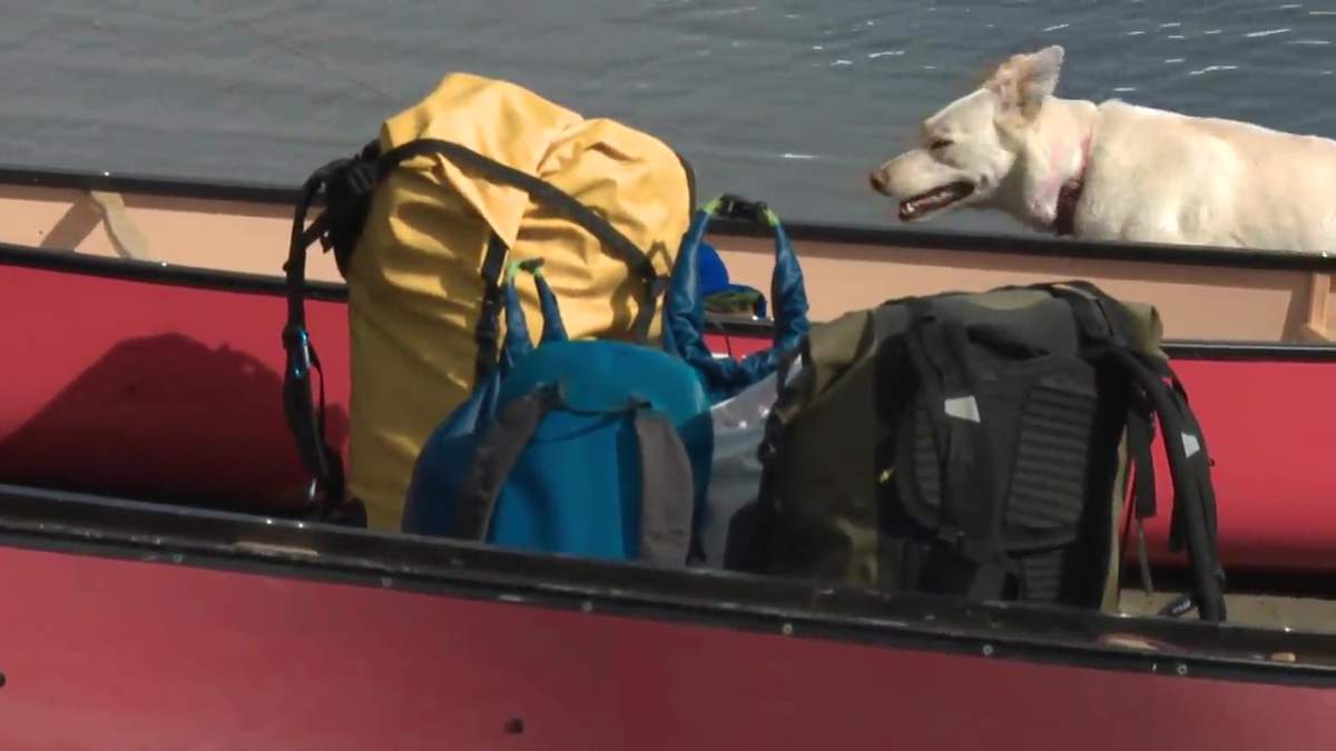 Brett Casey, Elias Niederkorn and Tundra the dog are travelling from Rocky Mountain House to Fredericton, N.B. this summer in canoe. May 12, 2021.