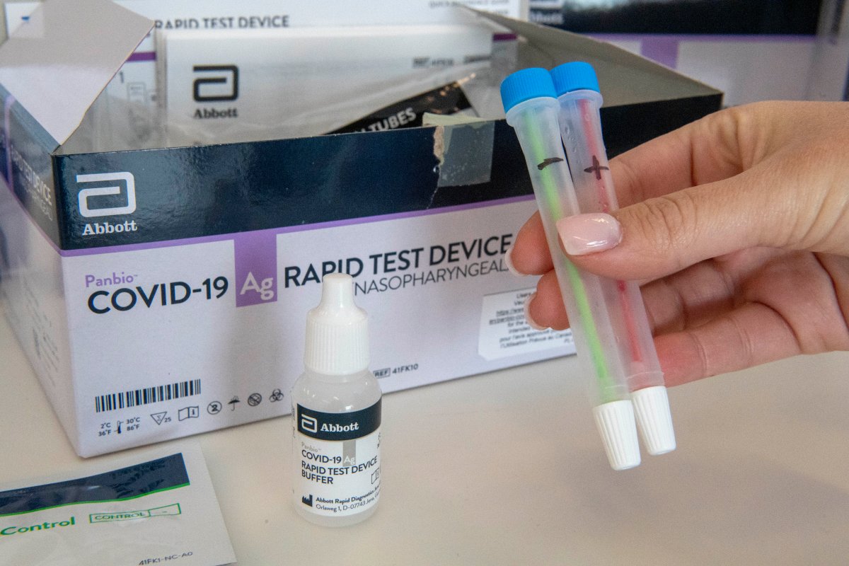 Kingston's chamber of commerce will be distributing rapid COVID-19test kits to businesses in the KFL&A region. 