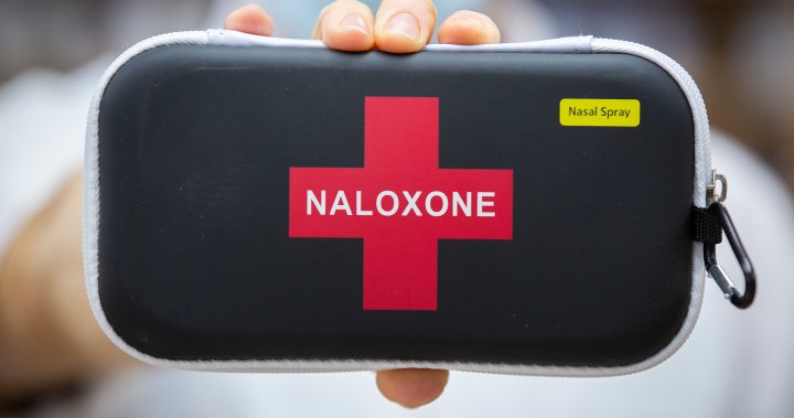 Barriers to access naloxone in New Brunswick still exist, experts say