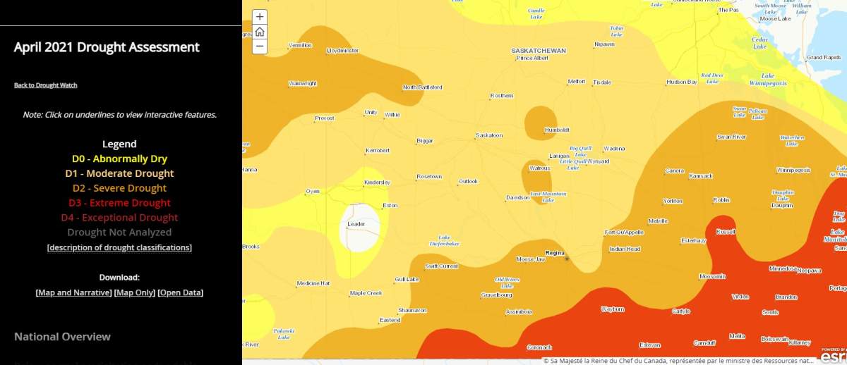 Drought conditions in Saskatchewan as of April 30, 2021.