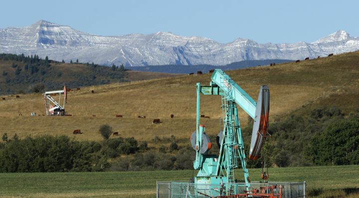 Oilfield pumpjacks, belonging to Crescent Point Energy, work producing crude and beef cattle graze in pasture near Longview, Alberta on Sept. 10, 2020. The Rocky Mountains are visible in the distance. 