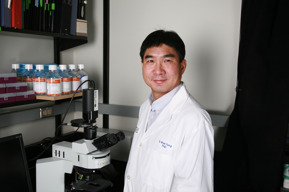 Wee Yong, U of C professor, co-leads the MS NeuroTeam of the Hotchkiss Brain Institute at University and is the director of the Alberta MS Network.