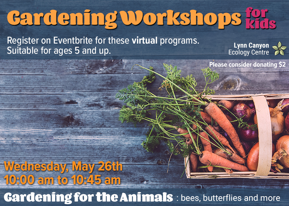 Gardening for the Animals Kids Online Gardening GlobalNews