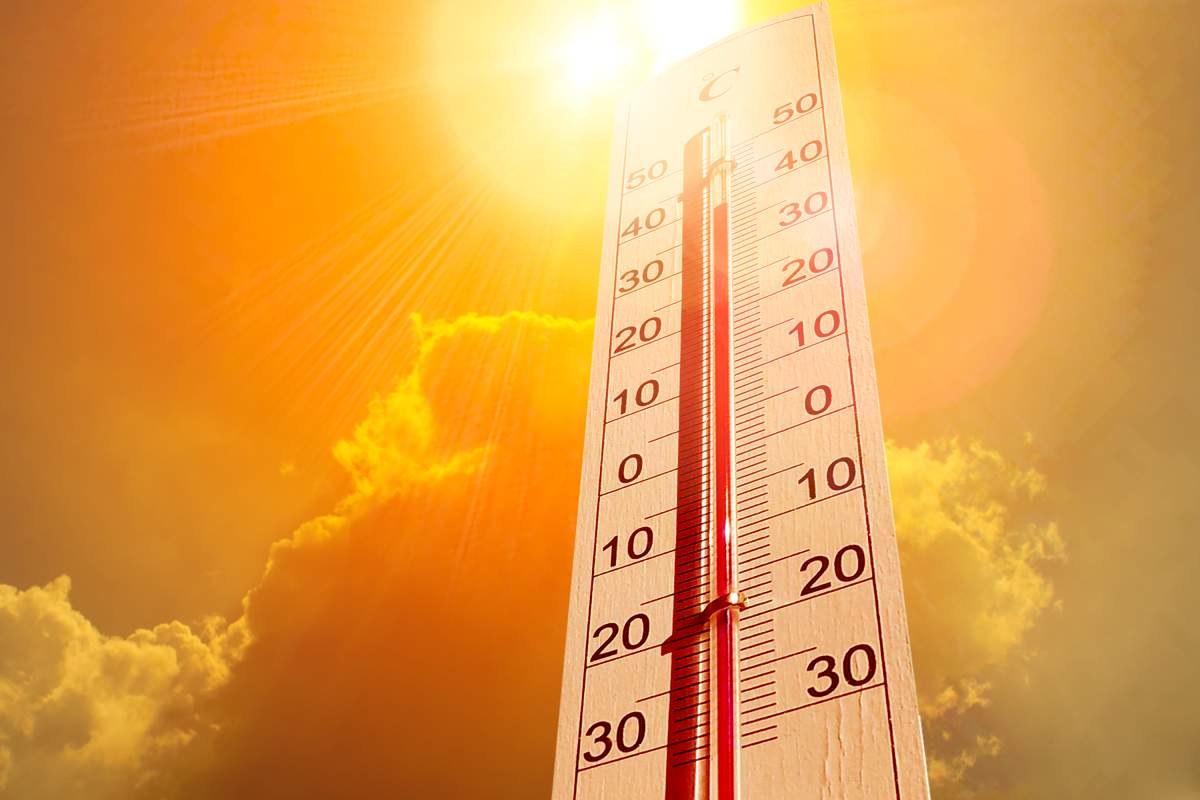Sweltering heat, humidity prompts MLHU to issue 1-day heat alert for London-Middlesex - image
