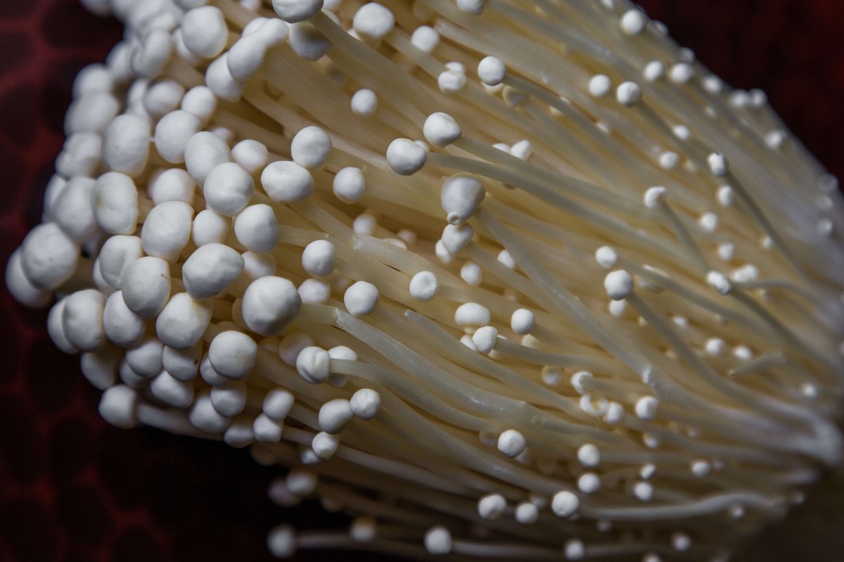 Enoki mushrooms have been recalled across Canada due to possible Listeria contamination. 