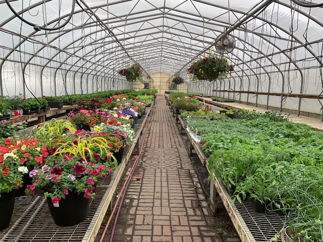 Plants inside the Greenland Garden Centre in Sherwood Park, Alta. on Tuesday. May 18, 2021.